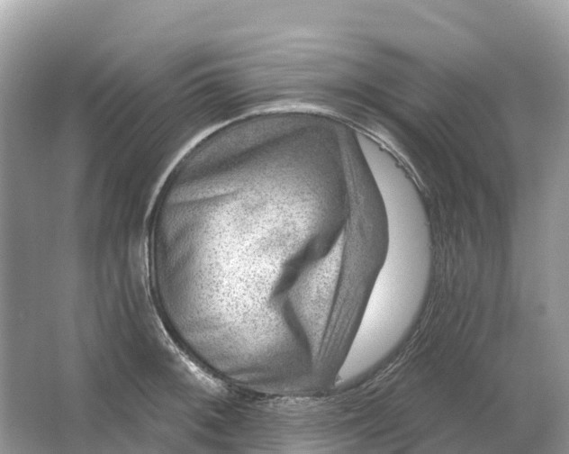 X0000064761092200602241905