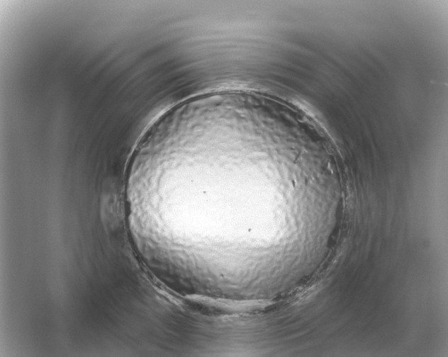 X0000064761097200602241905