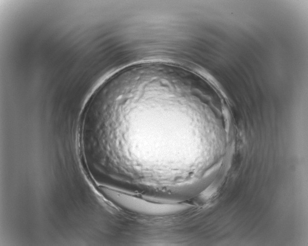 X0000064761101200602241905