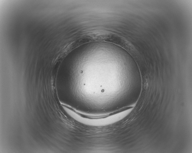 X0000064761108200602241904