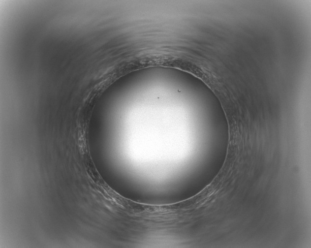 X0000064761109200602241904