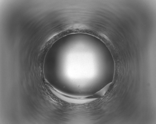 X0000064761112200602241904