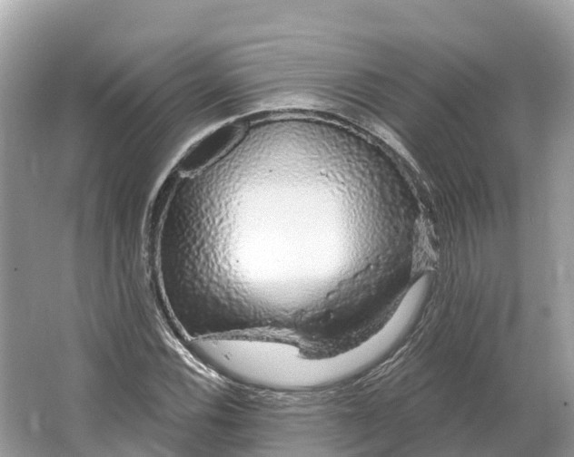 X0000064761116200602241904