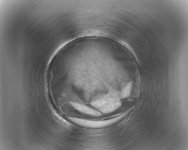 X0000064761120200602241904