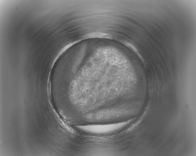 X0000064761125200602241904