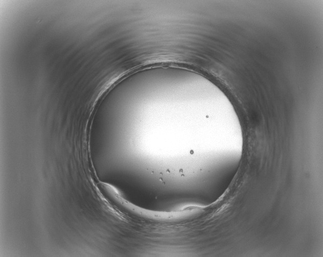 X0000064761129200602241904