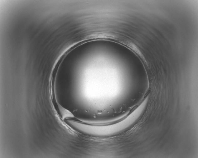 X0000064761132200602241904