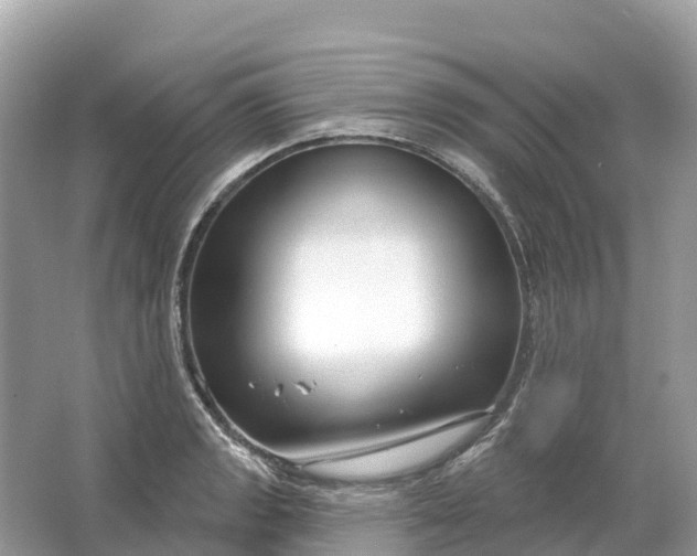 X0000064761133200602241904