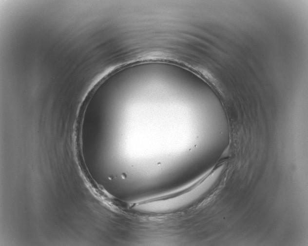 X0000064761134200602241904