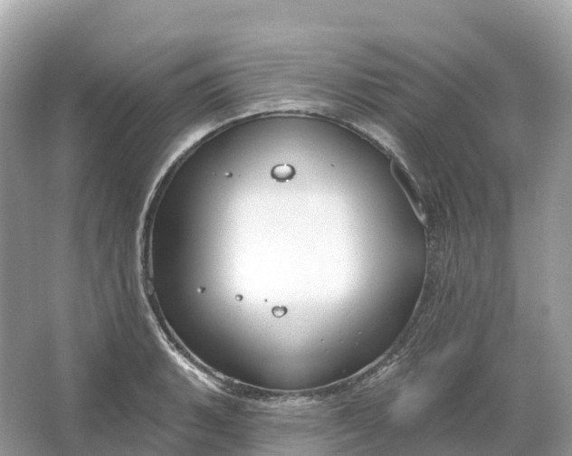X0000064761135200602241904