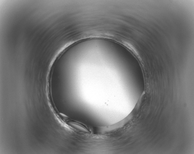 X0000064761136200602241904