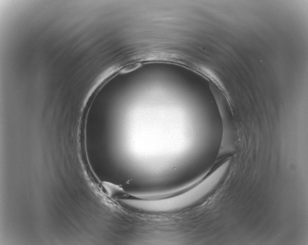 X0000064761138200602241904