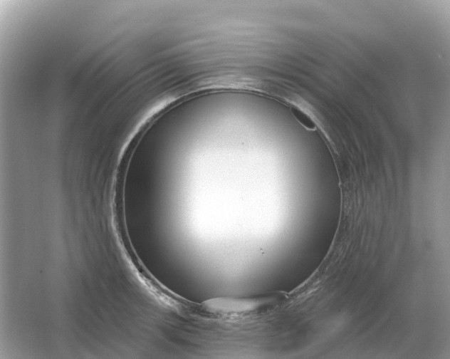 X0000064761139200602241904