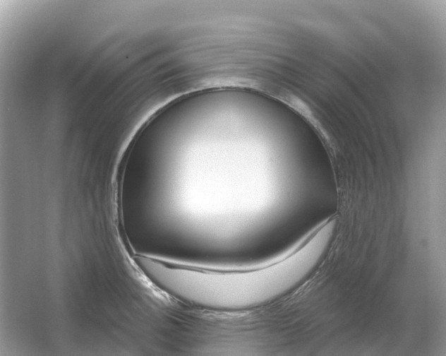 X0000064761140200602241905
