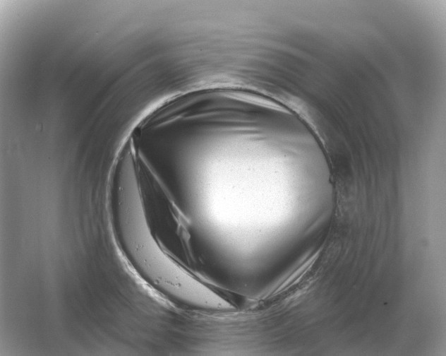 X0000064761142200602241905
