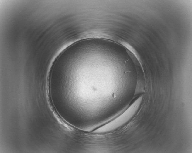 X0000064761144200602241905