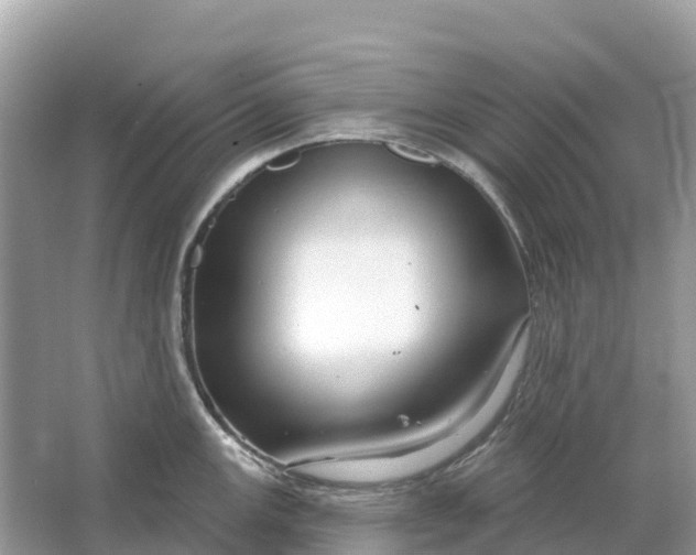 X0000064761147200602241905