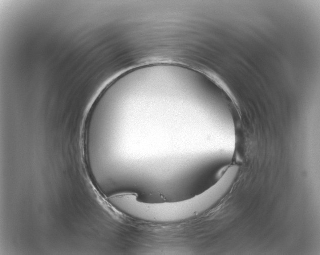 X0000064761148200602241905