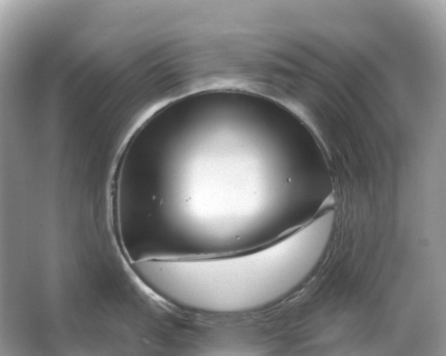 X0000064761151200602241905