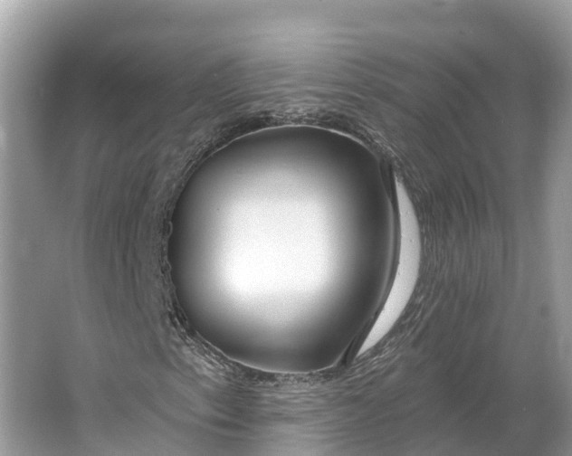 X0000064761153200602241904