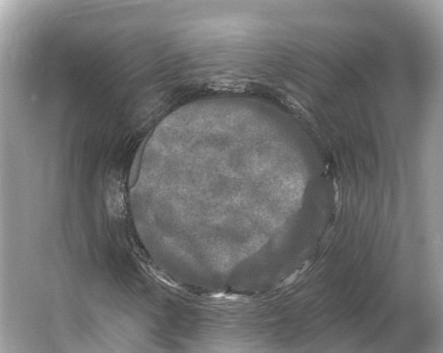 X0000064761154200602241904