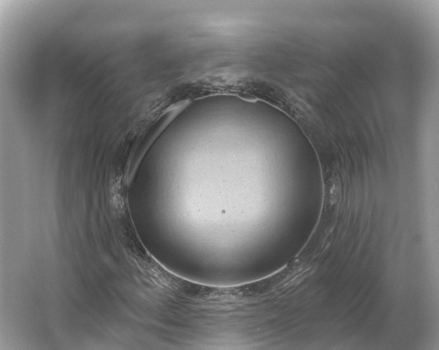 X0000064761156200602241904