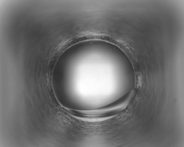 X0000064761157200602241904
