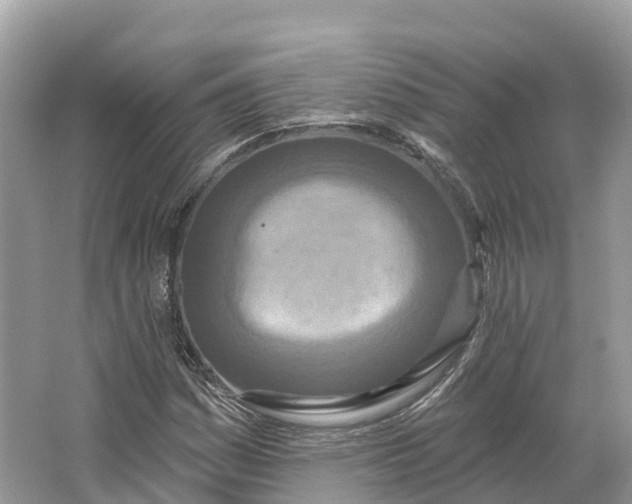 X0000064761161200602241903