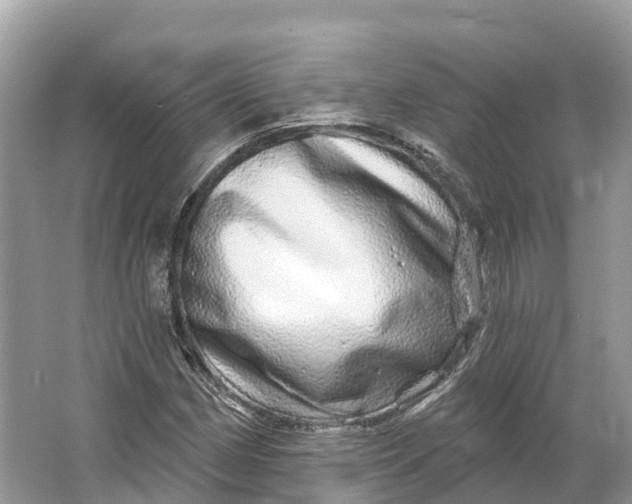 X0000064761162200602241903