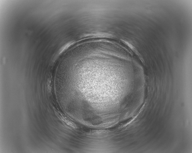 X0000064761163200602241903