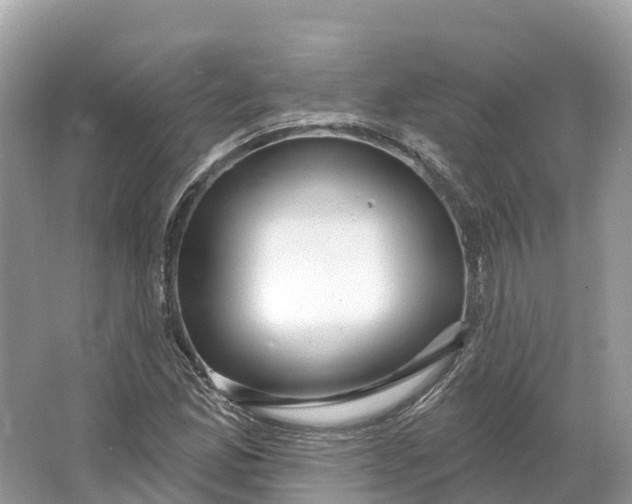 X0000064761165200602241903