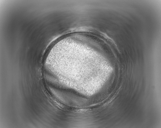 X0000064761166200602241903