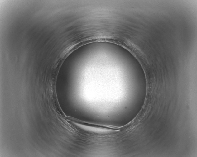 X0000064761169200602241903