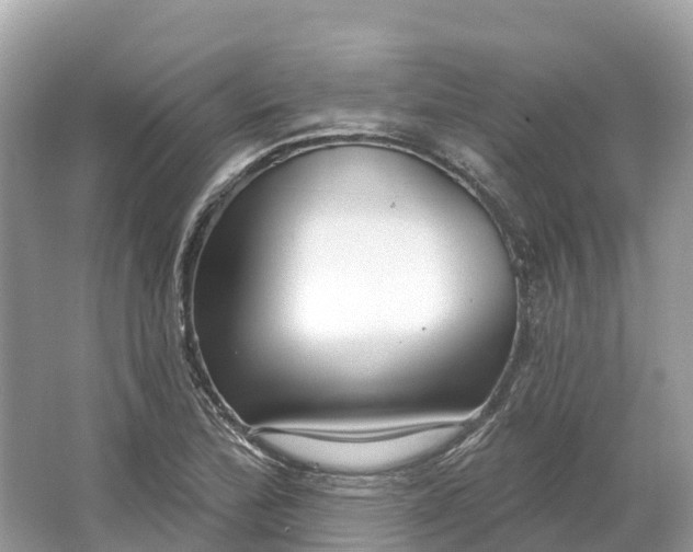 X0000064761172200602241903