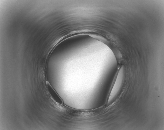 X0000064761177200602241903