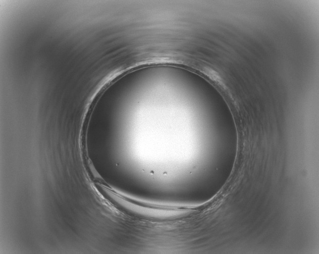 X0000064761181200602241903