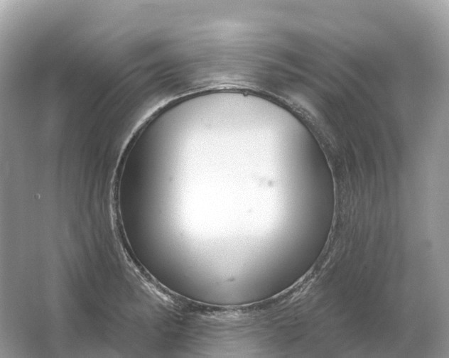 X0000064761182200602241903