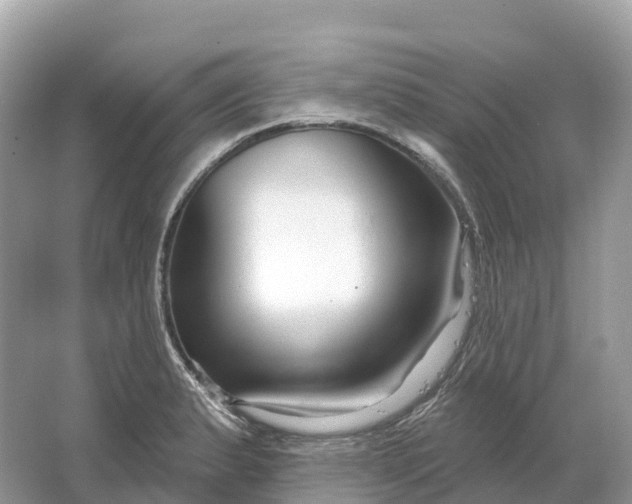 X0000064761183200602241903