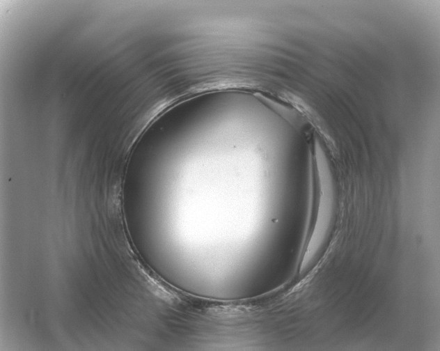X0000064761185200602241903