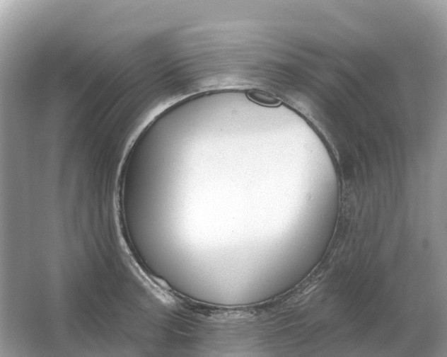 X0000064761187200602241903
