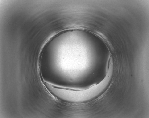X0000064761188200602241903