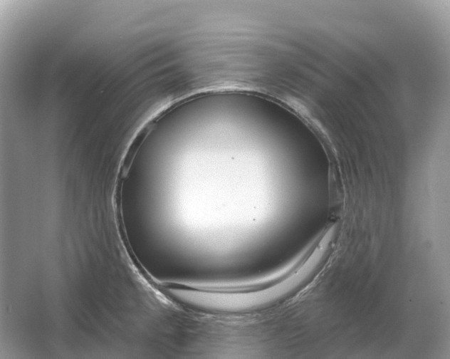 X0000064761189200602241903