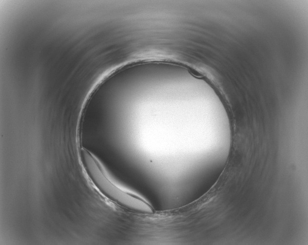 X0000064761191200602241903