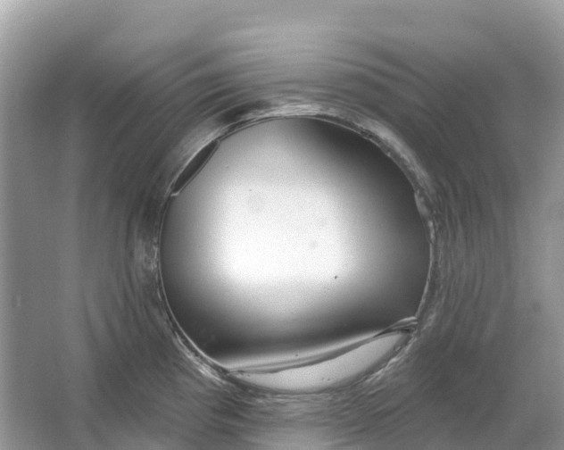 X0000064761193200602241903