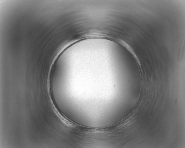 X0000064761195200602241903