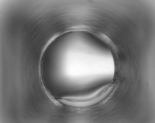 X0000064761196200602241903
