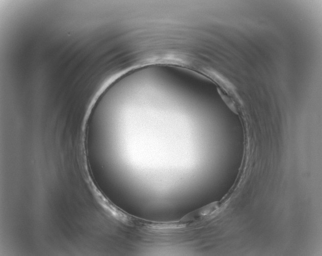 X0000064761200200602241902