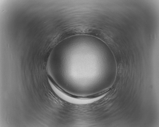 X0000064761202200602241901