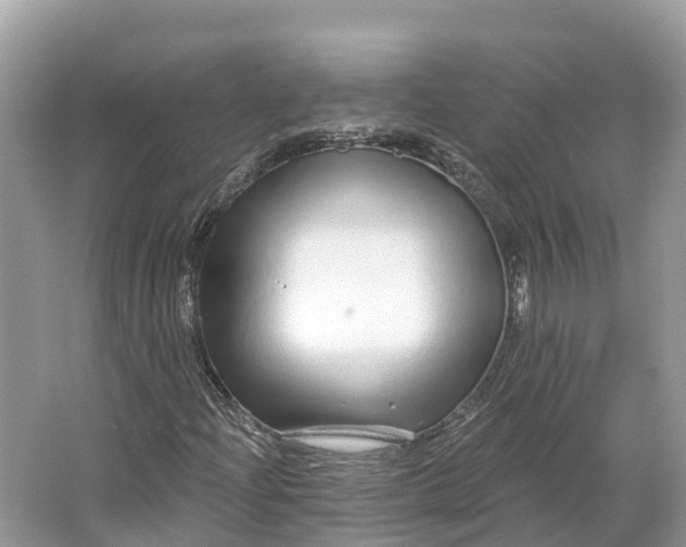 X0000064761204200602241901