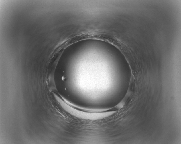 X0000064761206200602241901